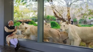 PM Modi Inaugurates Vantara, Shares Joyful Experience Feeding Lion Cubs and Giraffes