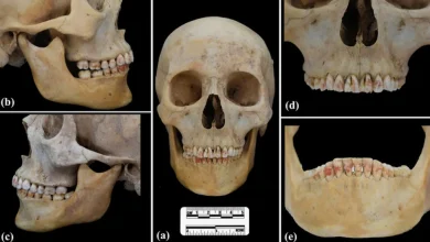 2,200-Year-Old Ancient "Red Princess" Unearthed in China, Teeth Painted with Toxic Mineral