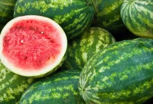 Why Watermelon Is the Summer Superfruit Your Body Needs?