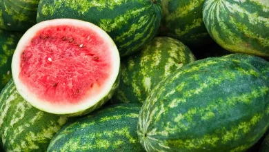 Why Watermelon Is the Summer Superfruit Your Body Needs?