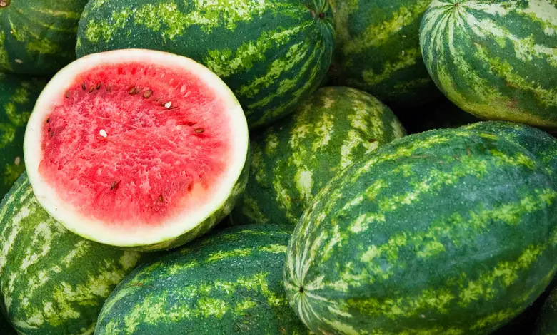 Why Watermelon Is the Summer Superfruit Your Body Needs?