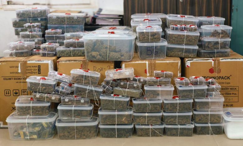 drugs-worth-3-5-crore-smuggled-in-toys-protein-powder-seized-by-ahmedabad-crime-branch