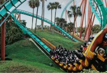 Tragic Fall Prompts Police Probe at Delhi Amusement Park