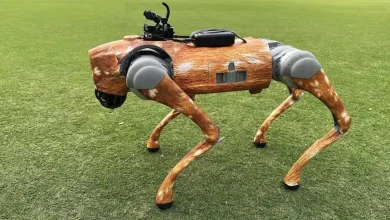 BCCI Faces Legal Challenge Over IPL 2025 Robot Dog Name