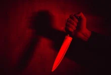 Brutal Stabbing Shocks Delhi Cantonment in Broad Daylight
