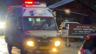 Tourists Among 27 Dead in Pahalgam Terror Attack