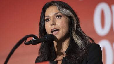 Tulsi Gabbard condemns Pahalgam terror attack, backs India’s fight against Islamist terrorism; extends condolences to PM Modi and victims’ families.