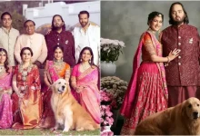 Ambani Family Mourns Loss of Beloved Pet Dog Happy