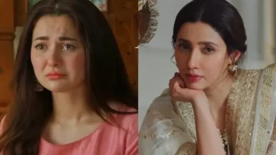 Pakistani Stars Face Backlash for Criticizing India's Operation Sindoor