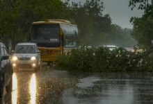 Gusty winds and light rainfall swept across several parts of Delhi on Saturday.