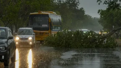 Gusty winds and light rainfall swept across several parts of Delhi on Saturday.