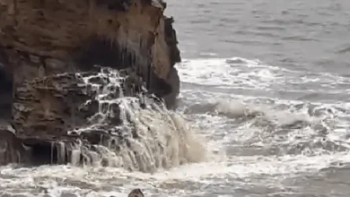 Stormy weather in Gujarat causes sea currents and flooding, prompting safety alerts and damage across coastal regions.