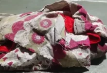 Police investigate site in Bhavnagar where a newborn was found dead after a stray dog attack in Tilaknagar area.