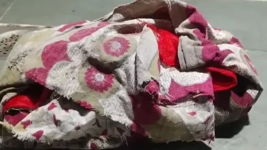 Police investigate site in Bhavnagar where a newborn was found dead after a stray dog attack in Tilaknagar area.