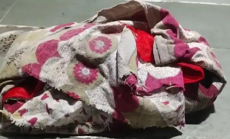 Police investigate site in Bhavnagar where a newborn was found dead after a stray dog attack in Tilaknagar area.