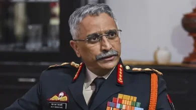Former Army Chief Naravane Urges Diplomacy Over War in India-Pakistan Ceasefire