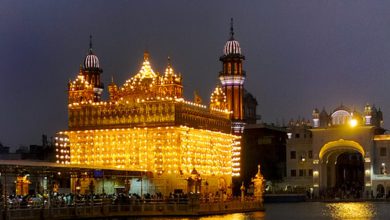 Indian Army: Pakistani Forces Targeted Golden Temple After India's strikes (PTI)