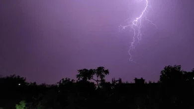 Lightning Strikes Claim Nine Lives in Odisha, Prompting Weather Alerts