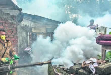 BMC Intensifies Dengue Fight with Over 2 Lakh Mosquito Sites Fumigated Since 2024