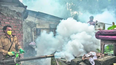 BMC Intensifies Dengue Fight with Over 2 Lakh Mosquito Sites Fumigated Since 2024