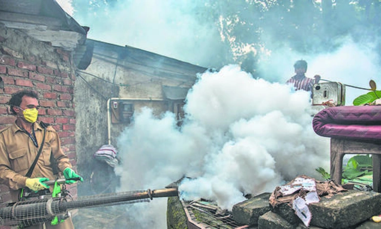 BMC Intensifies Dengue Fight with Over 2 Lakh Mosquito Sites Fumigated Since 2024