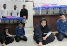Mumbai couple arrested in Gandhinagar with ₹2.38 crore worth hybrid ganja during inter-state drug trafficking operation.