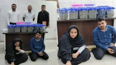 Mumbai couple arrested in Gandhinagar with ₹2.38 crore worth hybrid ganja during inter-state drug trafficking operation.
