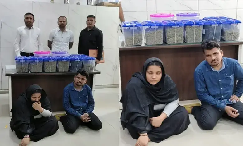 Mumbai couple arrested in Gandhinagar with ₹2.38 crore worth hybrid ganja during inter-state drug trafficking operation.