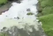 White foam on Narmada River surface after toxic industrial waste discharge in Bharuch-Ankleshwar area.