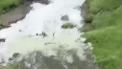 White foam on Narmada River surface after toxic industrial waste discharge in Bharuch-Ankleshwar area.