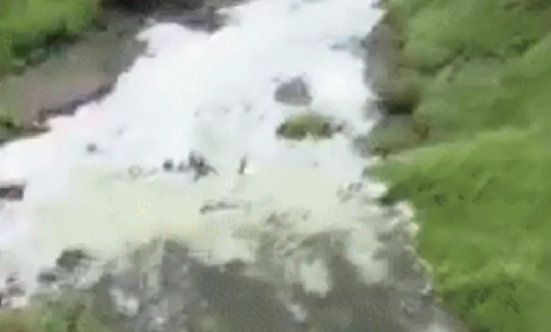 White foam on Narmada River surface after toxic industrial waste discharge in Bharuch-Ankleshwar area.