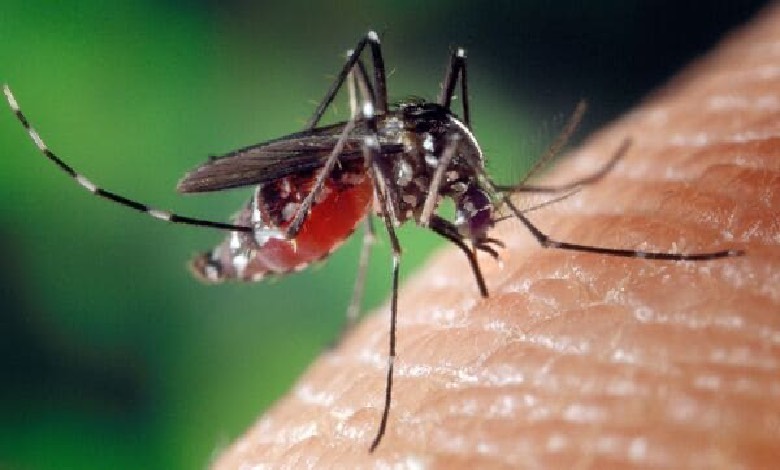 National Dengue Day 2025: Early Monsoon Spark Advisory on Prevention.