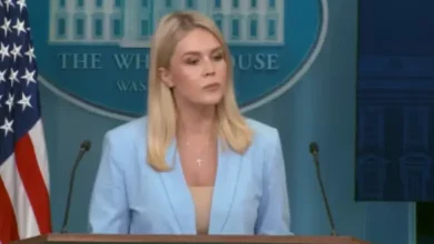 White House on India-Pakistan tensions. Trump wants quick de-escalation. Rubio in talks with both nations.  