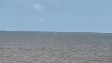 Coastguard responds to suspicious boat sighting off Jafrabad coast amid Gujarat fishing ban due to weather and security alerts.