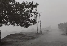 Unseasonal rains and winds in Gujarat impacting summer crops and farming regions, as IMD issues weather alert.
