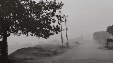 Unseasonal rains and winds in Gujarat impacting summer crops and farming regions, as IMD issues weather alert.