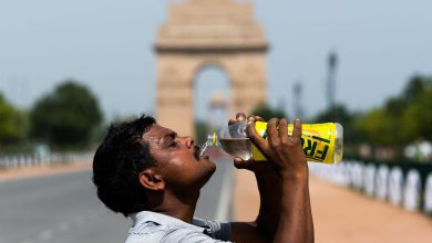 Severe Heatwave Grips North India: Rajasthan Records 48°C, Delhi Feels Like 51.9°C