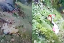 5 Dead As Helicopter Flying To Kedarnath Crashes Between Gaurikund, Sonprayag