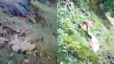 5 Dead As Helicopter Flying To Kedarnath Crashes Between Gaurikund, Sonprayag