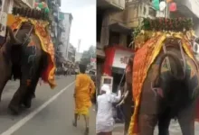Lord Jagannath's Rath Yatra has arrived in full swing. However, during this time, an obstacle has come in the way.