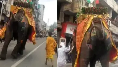 Lord Jagannath's Rath Yatra has arrived in full swing. However, during this time, an obstacle has come in the way.