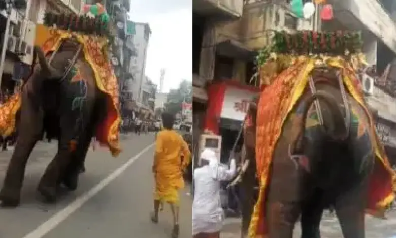 Lord Jagannath's Rath Yatra has arrived in full swing. However, during this time, an obstacle has come in the way.