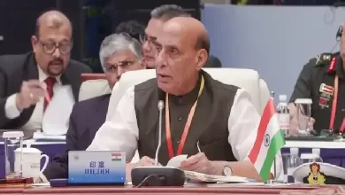 Defence Minister Rajnath Singh on Thursday slammed member state Pakistan for perpetrating cross-border terrorism at the Shanghai Cooperation Organisation (SCO) Defence Ministers' Meeting in China.