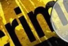 Pakistani immigrant kills himself after killing his wife