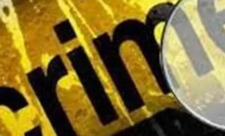 Pakistani immigrant kills himself after killing his wife