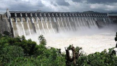 Gujarat’s Reservoirs Surge to 46.21% Capacity, 13 Overflowing, 18 on High Alert