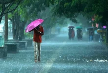 Heavy rainfall and thunderstorms in Gujarat as IMD issues yellow and orange weather alerts for several districts.