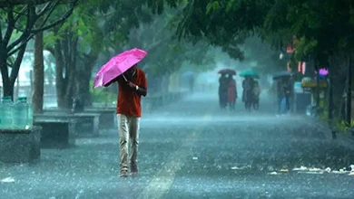 Heavy rainfall and thunderstorms in Gujarat as IMD issues yellow and orange weather alerts for several districts.