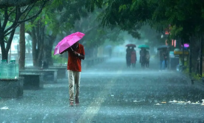Heavy rainfall and thunderstorms in Gujarat as IMD issues yellow and orange weather alerts for several districts.