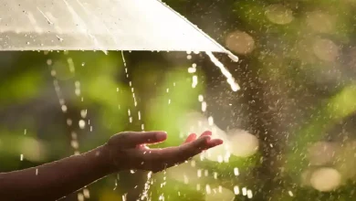 Cloudy skies over Gujarat as IMD forecasts widespread rainfall and on-time monsoon arrival in June 2025.